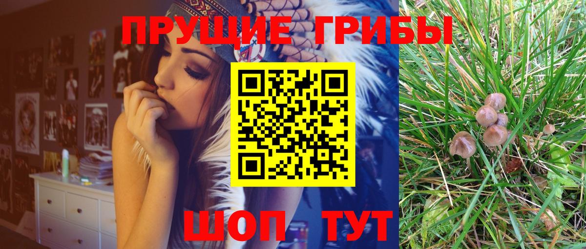 Калининград  Галлюциногенные грибы GOLDEN TEACHER  Вход с VPN 